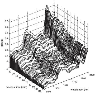 Accuracy Improvement of In-line Near-Infrared Spectroscopic Moisture Monitoring in a Fluidized Bed Drying Process